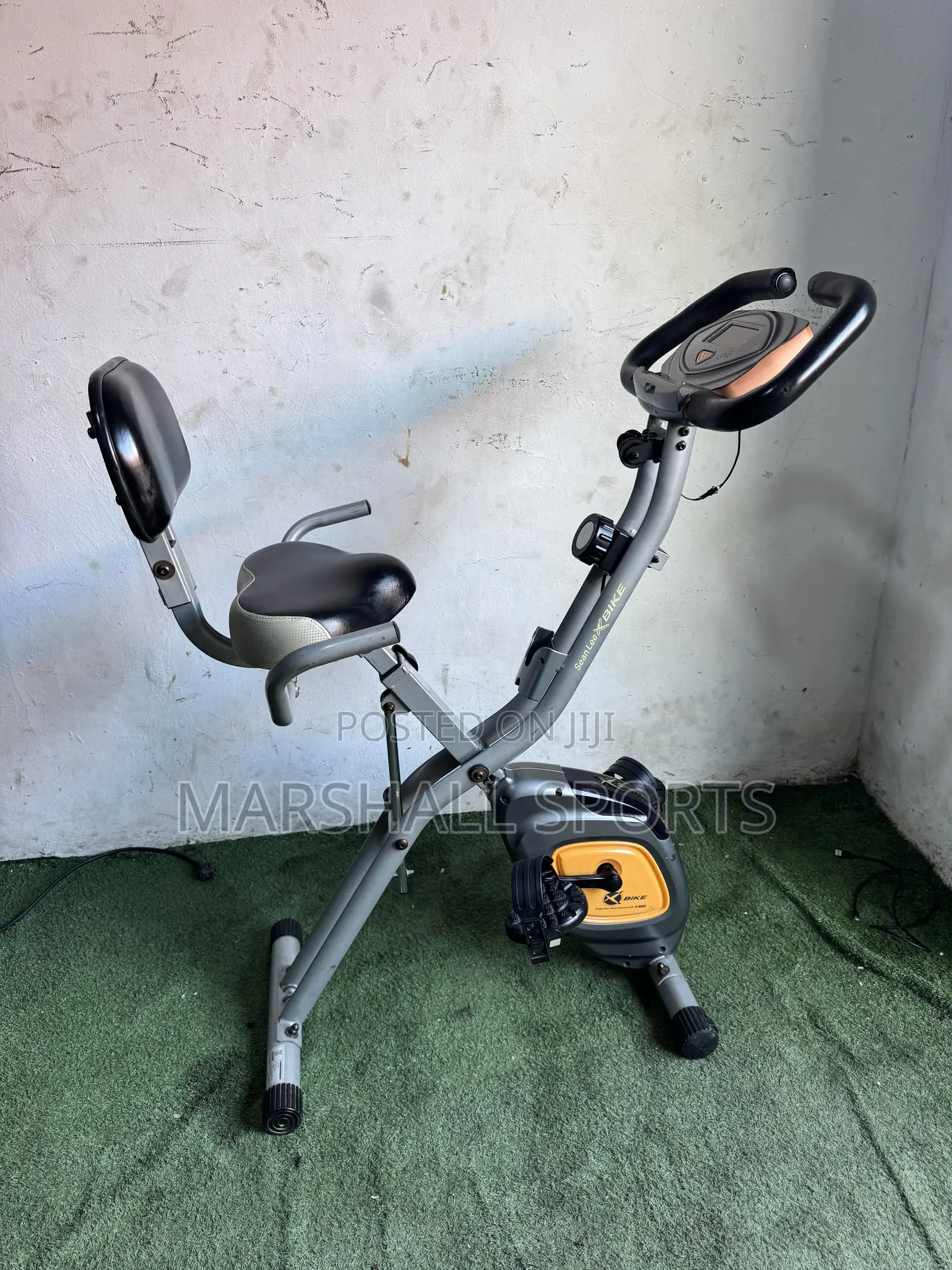 Xbike With Back Extension