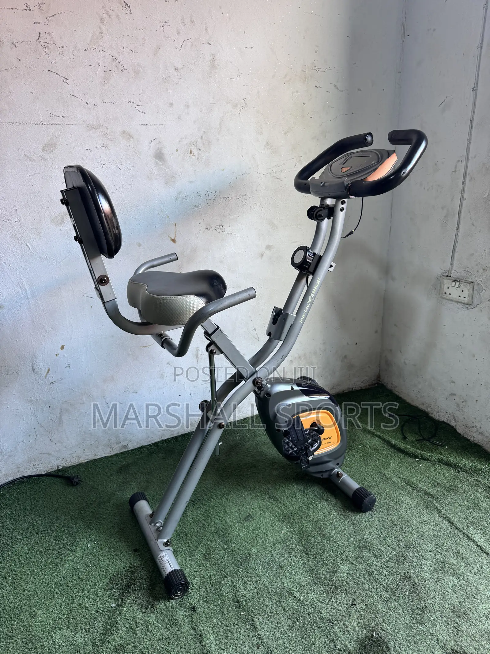Xbike With Back Extension