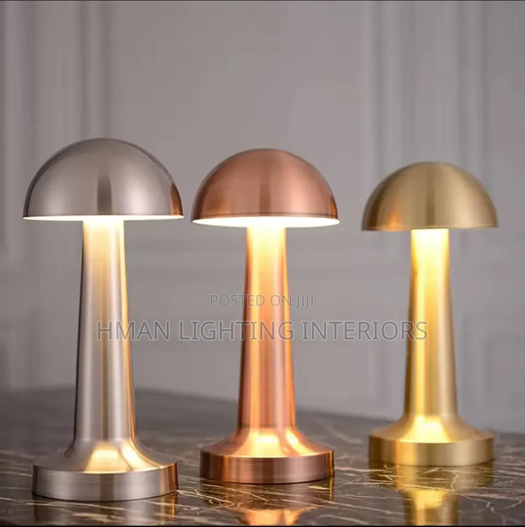 Lighting Fittings