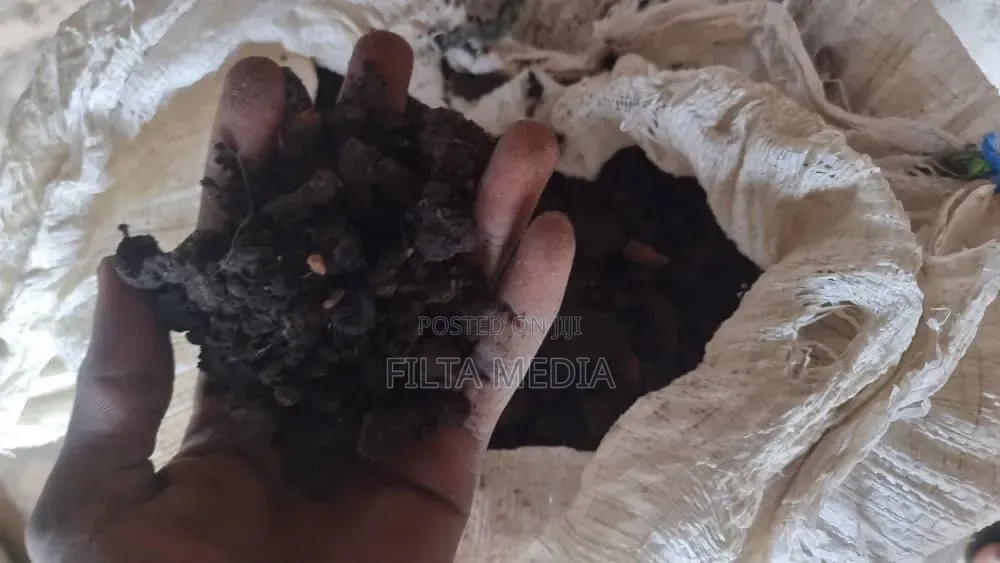 Pure Cattle Blood Meal for Animal Feed