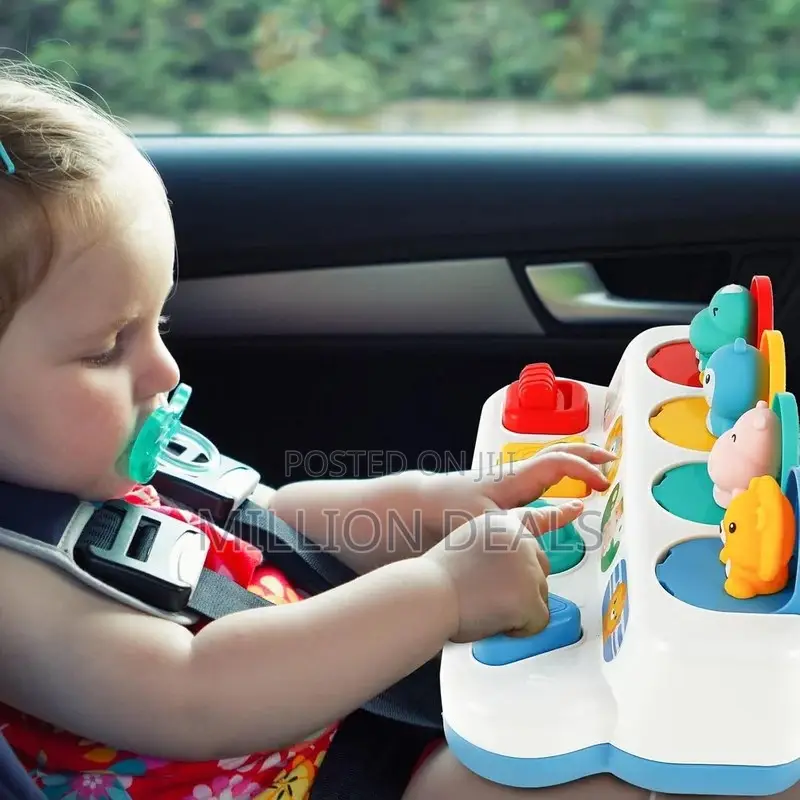 Pop Up Animals Toy Age 18mnth+