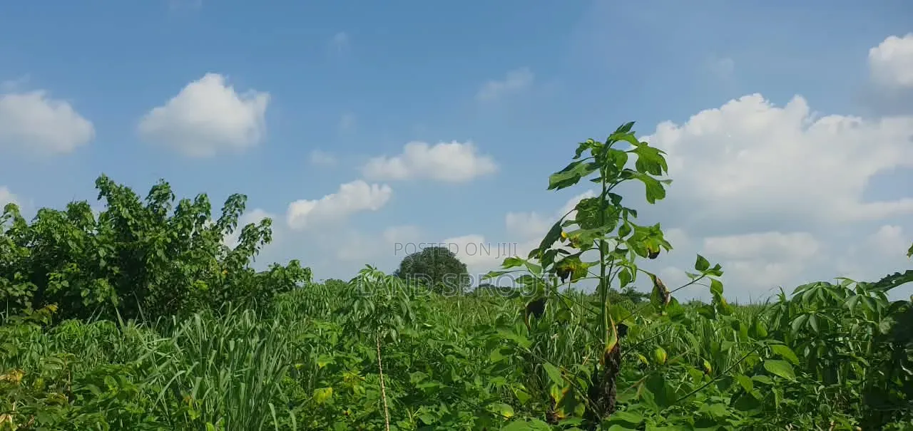 5 Acres of Land Available for Sale at Alako, Ido, Ibadan