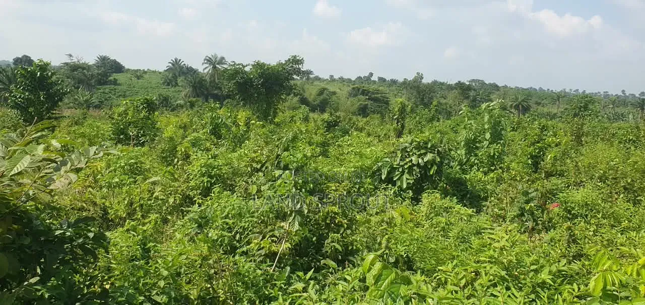 5 Acres of Land Available for Sale at Alako, Ido, Ibadan