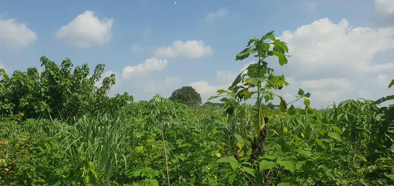 5 Acres of Land Available for Sale at Alako, Ido, Ibadan