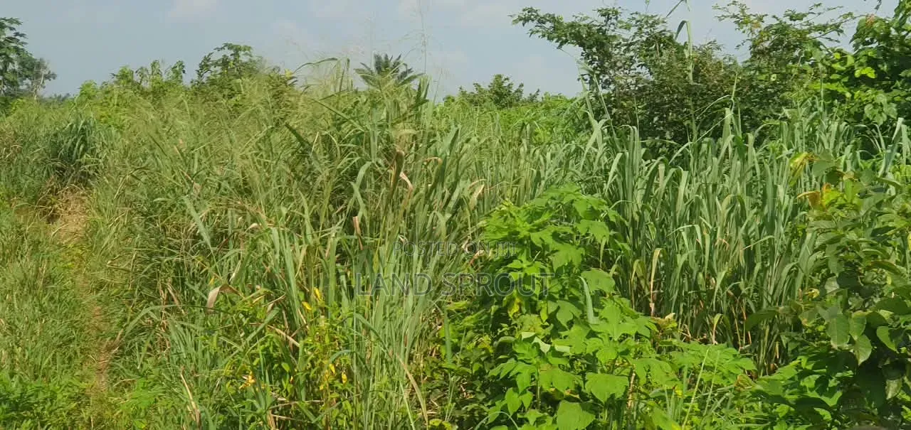5 Acres of Land Available for Sale at Alako, Ido, Ibadan
