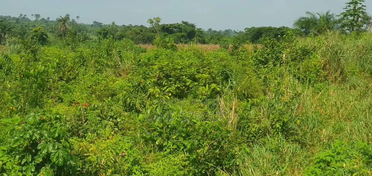 5 Acres of Land Available for Sale at Alako, Ido, Ibadan