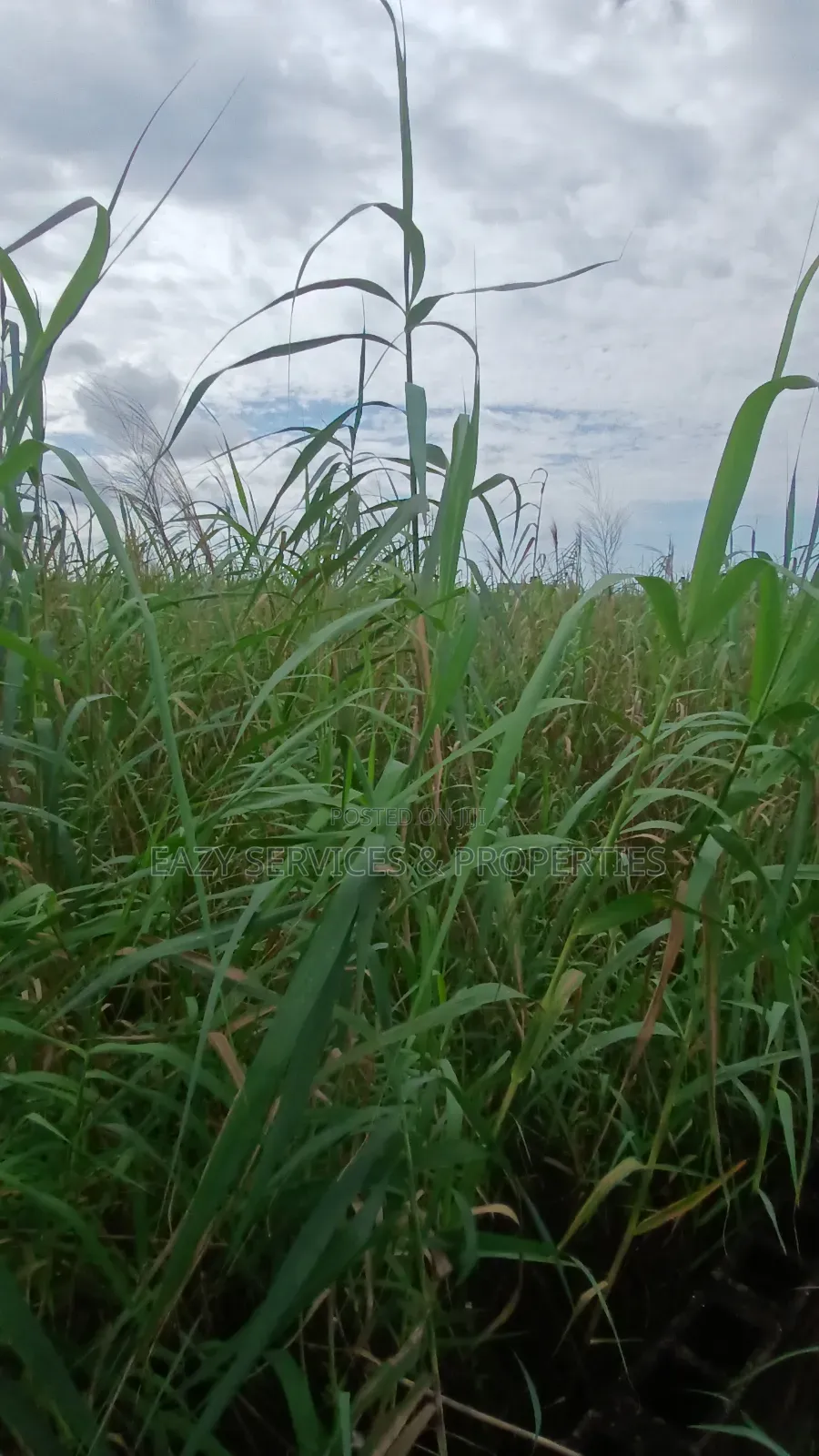4plots of Oceanvew Land (Fenced Gated) in Ajah