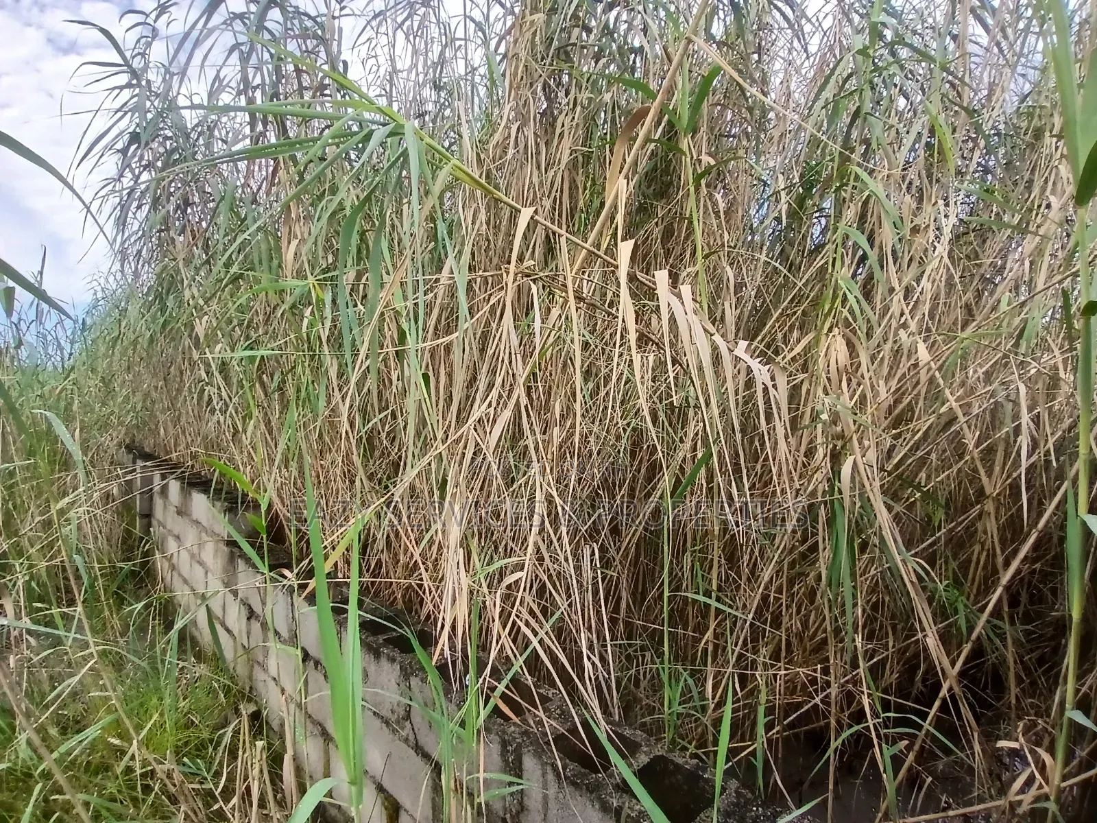 4plots of Oceanvew Land (Fenced Gated) in Ajah