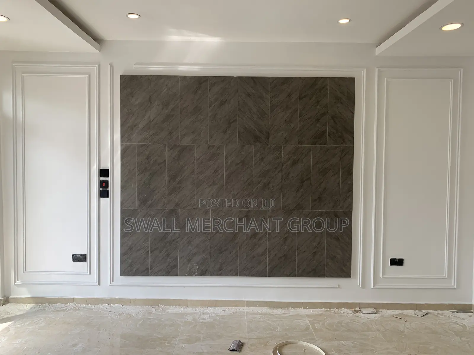 Premium Wall Moulding Design