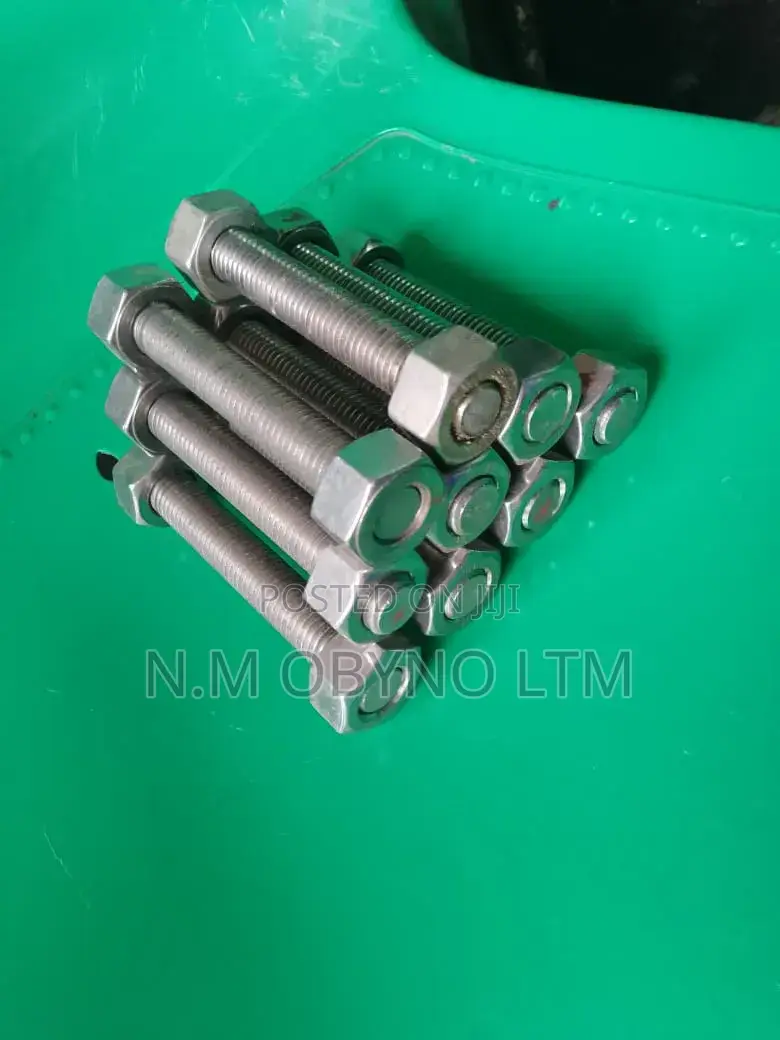 5/8 X. 100 Stainless Bolt