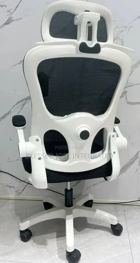 Ergonomic Chair