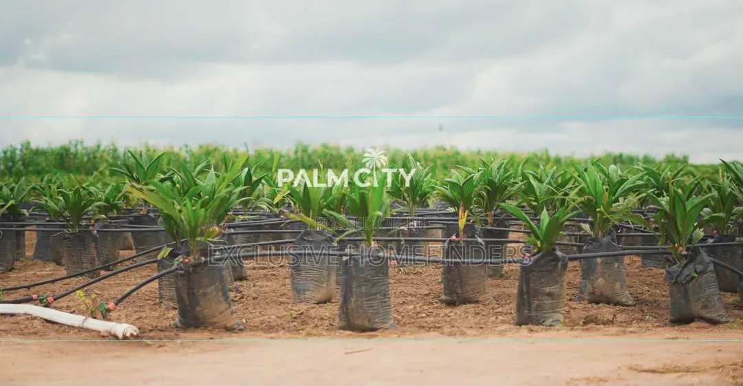 Strategic Investment Land – Palm City | Flexible Payment Plan