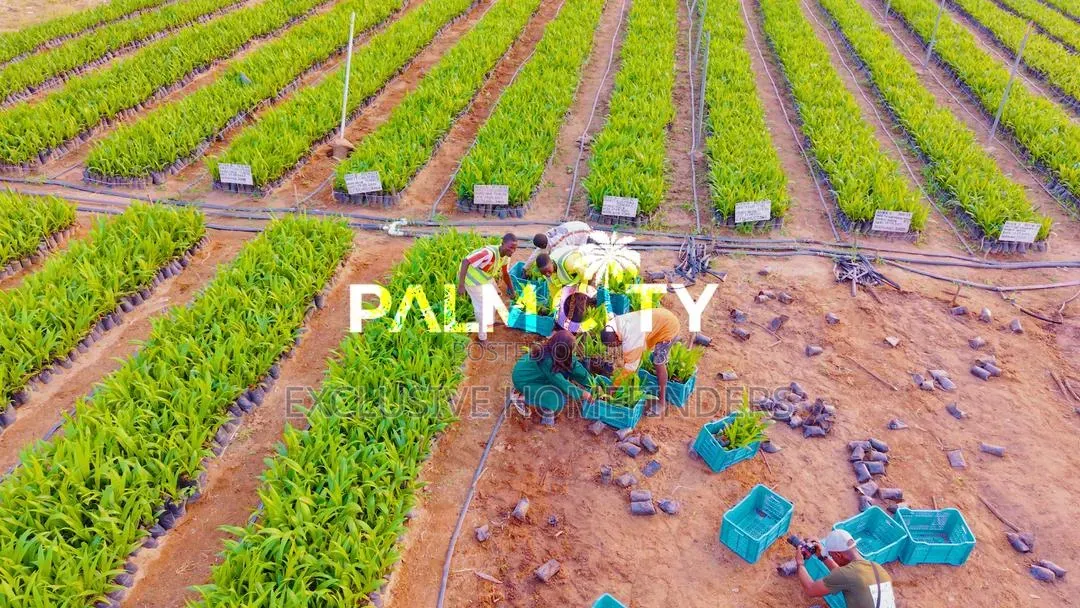 Strategic Investment Land – Palm City | Flexible Payment Plan