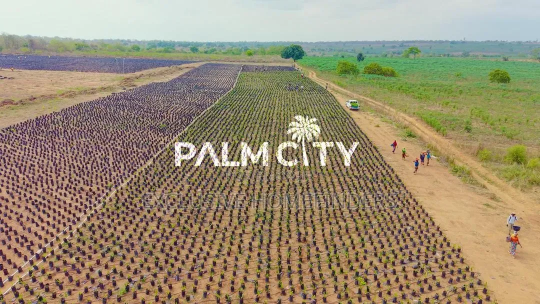 Strategic Investment Land – Palm City | Flexible Payment Plan