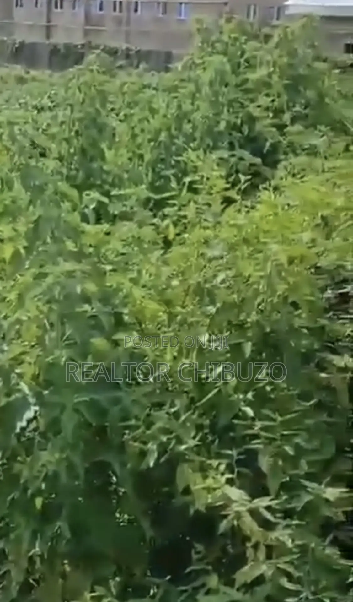 1.28 Commercial Plot at Wuye for Sale - 4.5bill