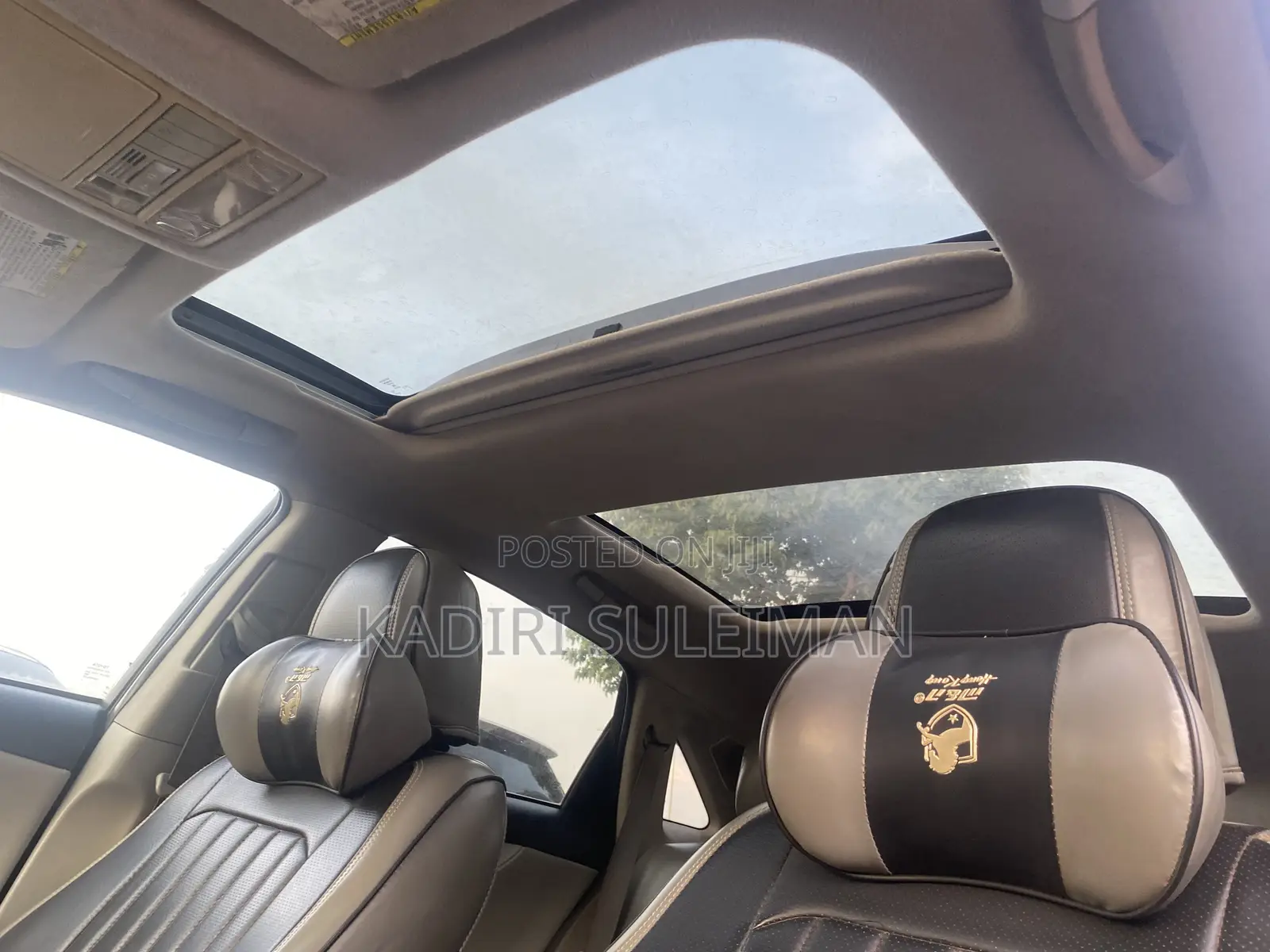 Toyota Venza 2009 Brown