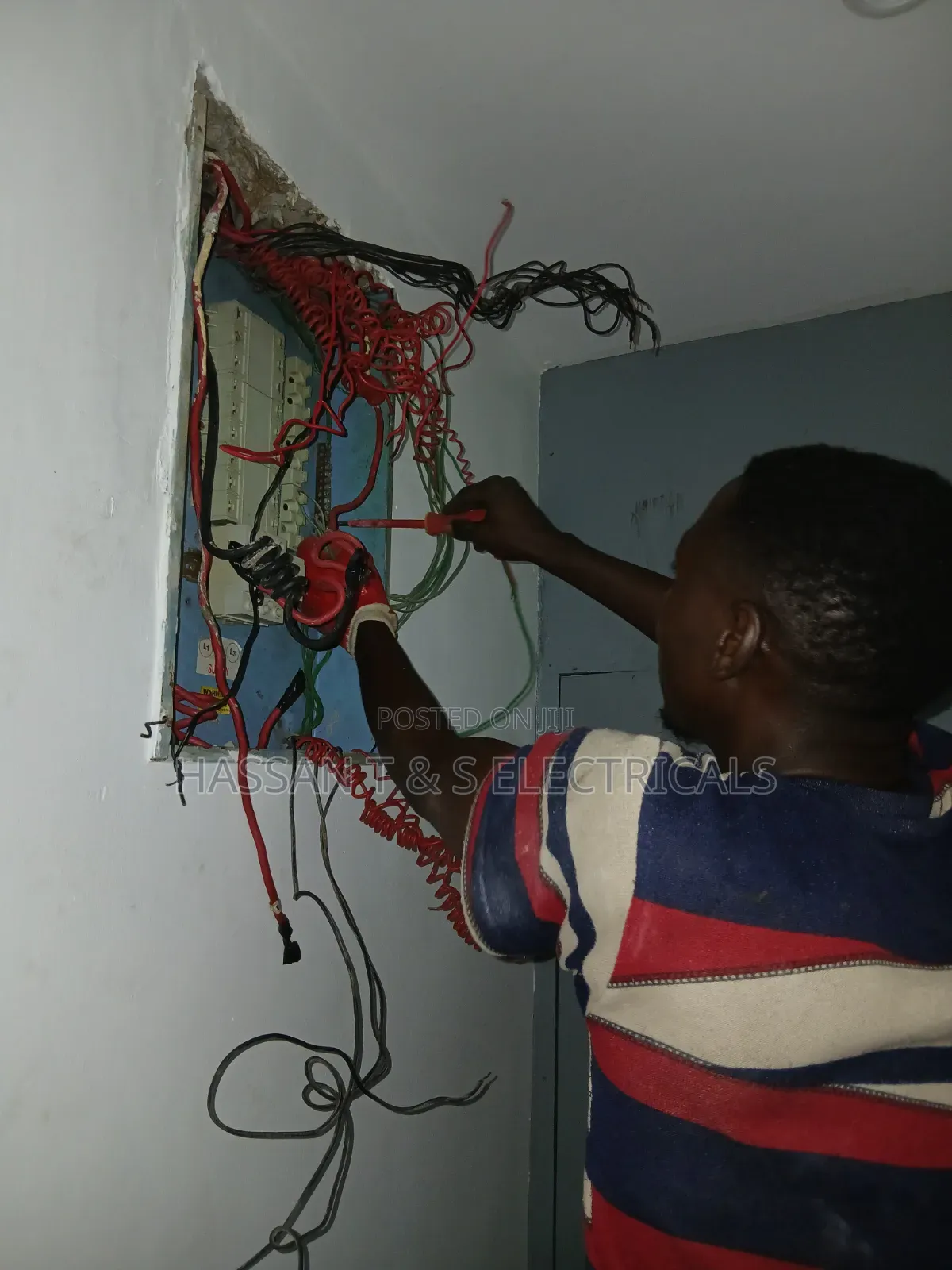 Professional Electrician