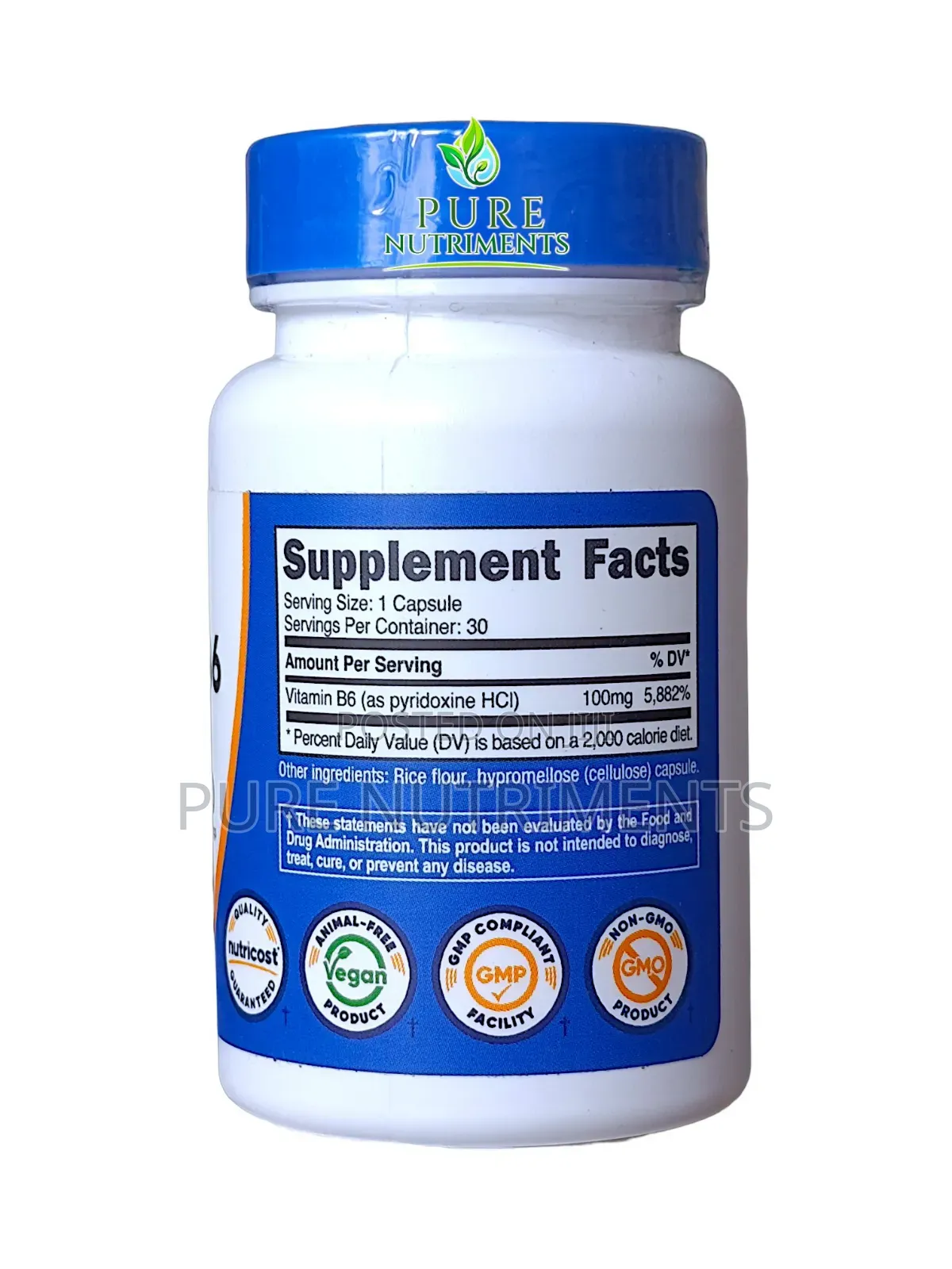 Nutricost Vitamin B6100mg 30 Capsules_ Pure Energy Immune Support