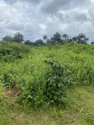 A Plot of Land for Sale Umuahia ABIA STATE
