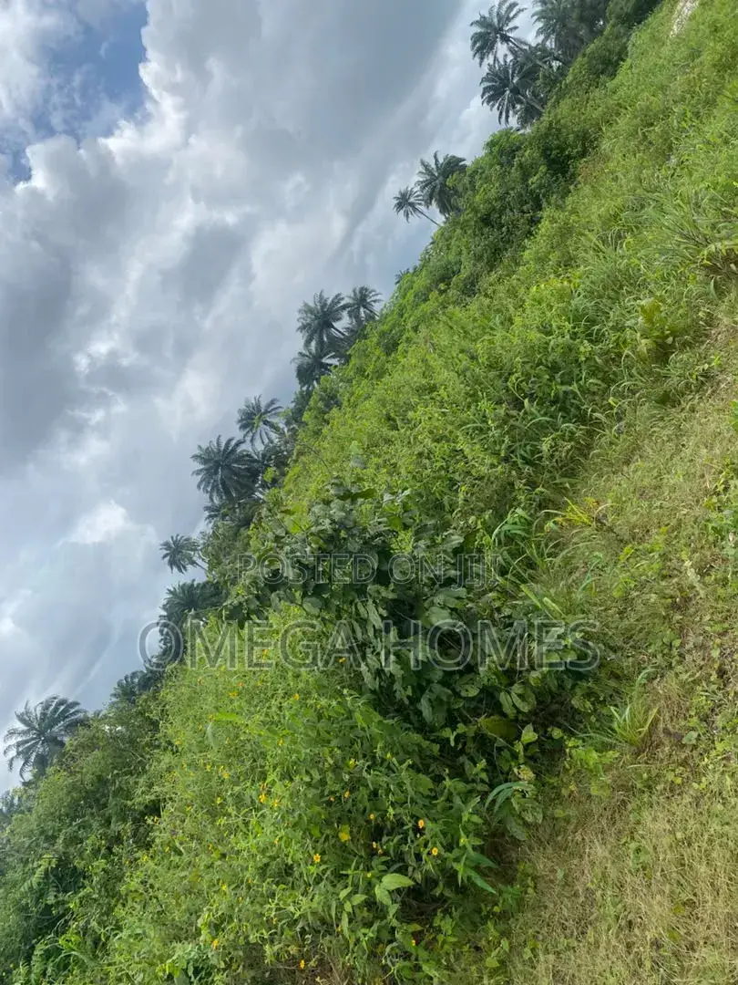 I Plot of Land
