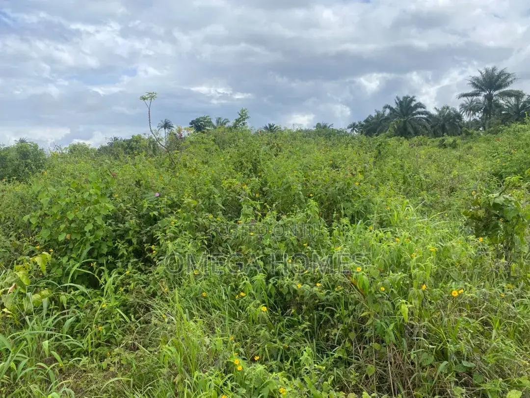 I Plot of Land