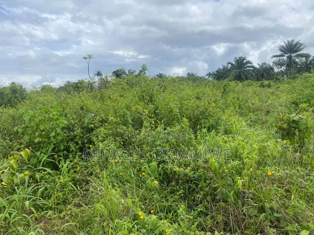 A Plot of Land for Sale Umuahia ABIA STATE