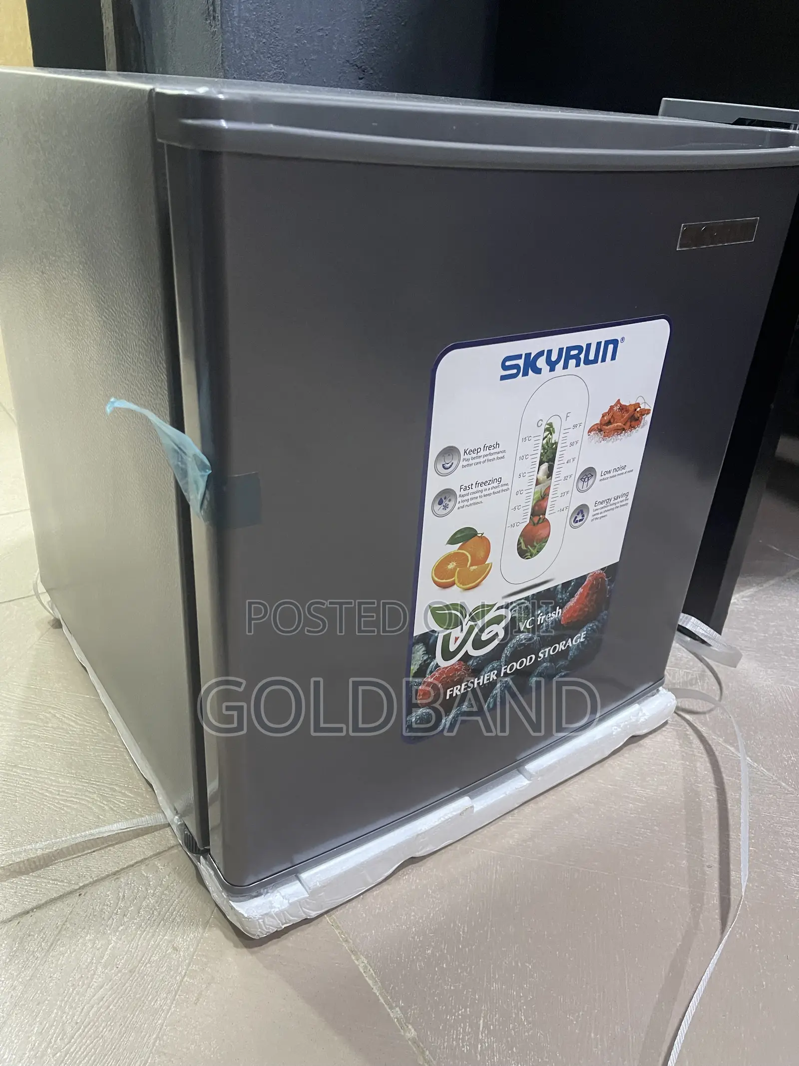 Skyrun 48L Sleek Compact Refrigerator