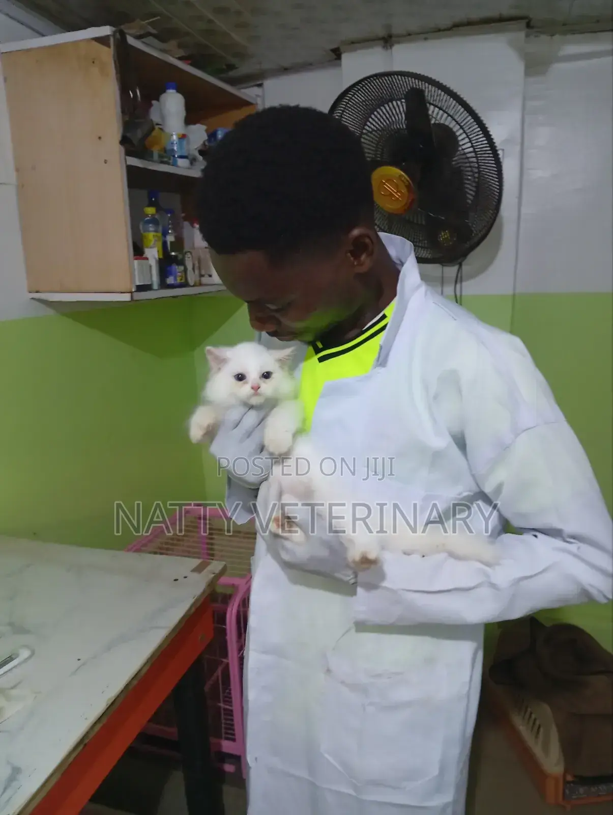 Natty Veterinary Clinic/Veterinary Doctor in Lugbe