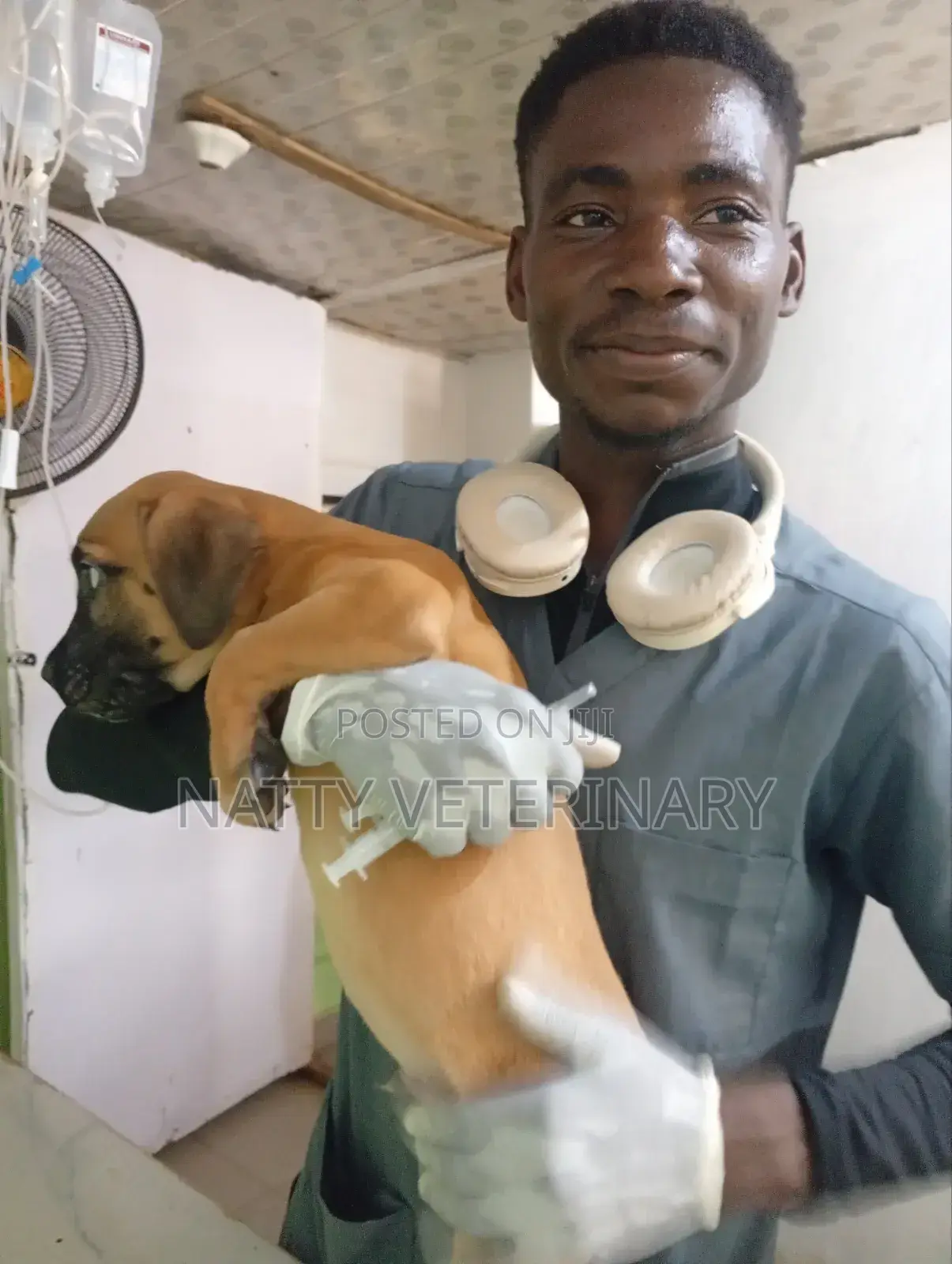 Natty Veterinary Clinic/Veterinary Doctor in Lugbe