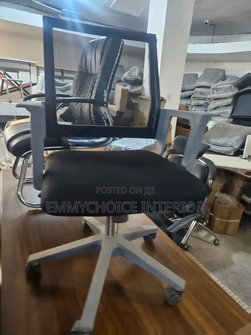Modern Luxury Office Task Chair