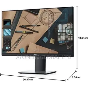 Dell P2419h