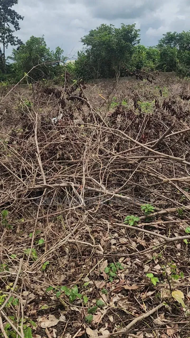 600sqm Land for Sale at Epe,back of Otedola Estate