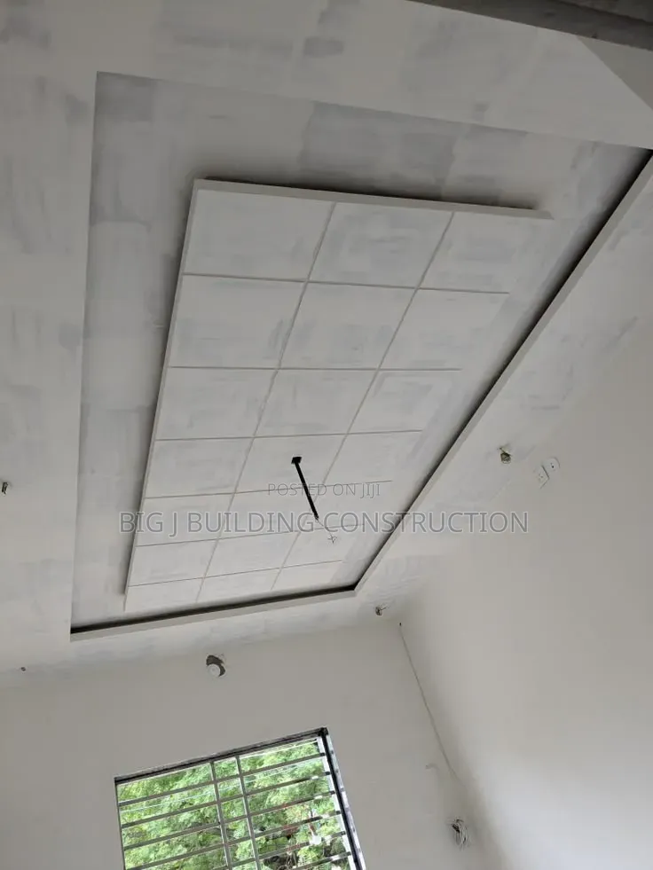 Pop Ceiling With Profile Light