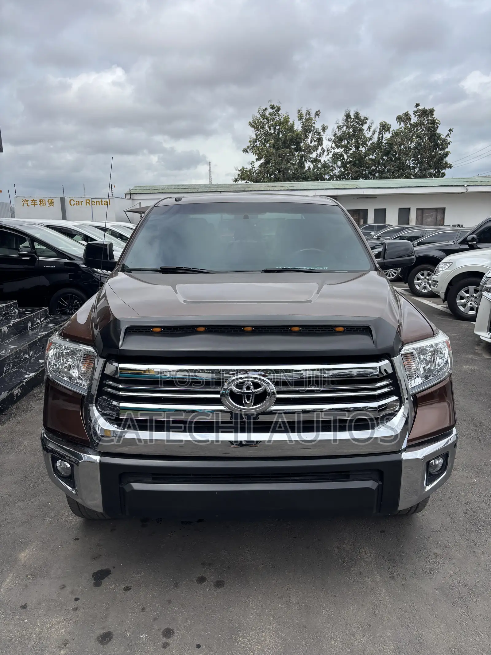 Toyota Tundra Limited 4dr Double Cab 4WD SB (5.7L 8cyl 6A) 2014 Brown