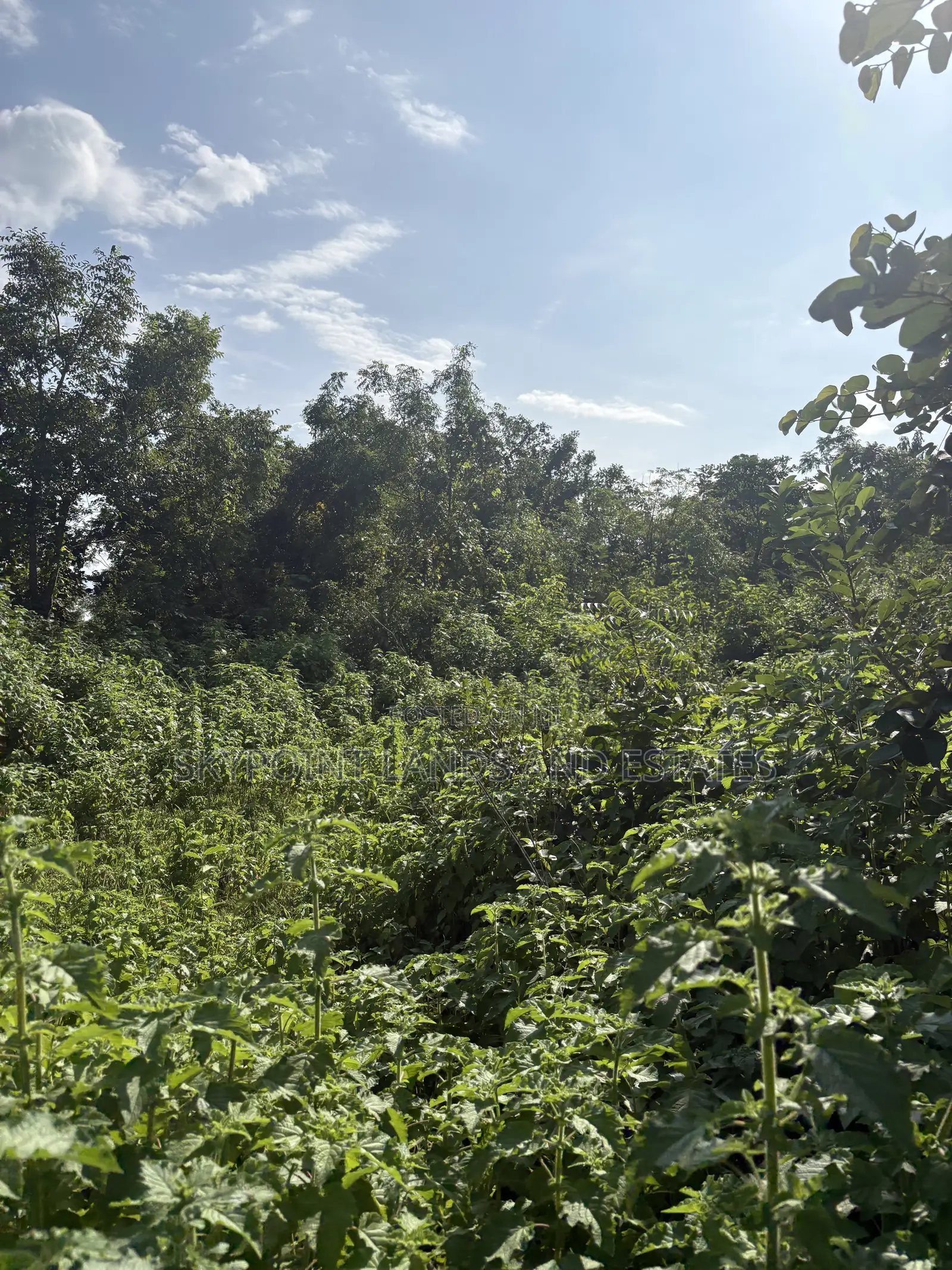 800 Acres Available at Apomu Area, Osun State