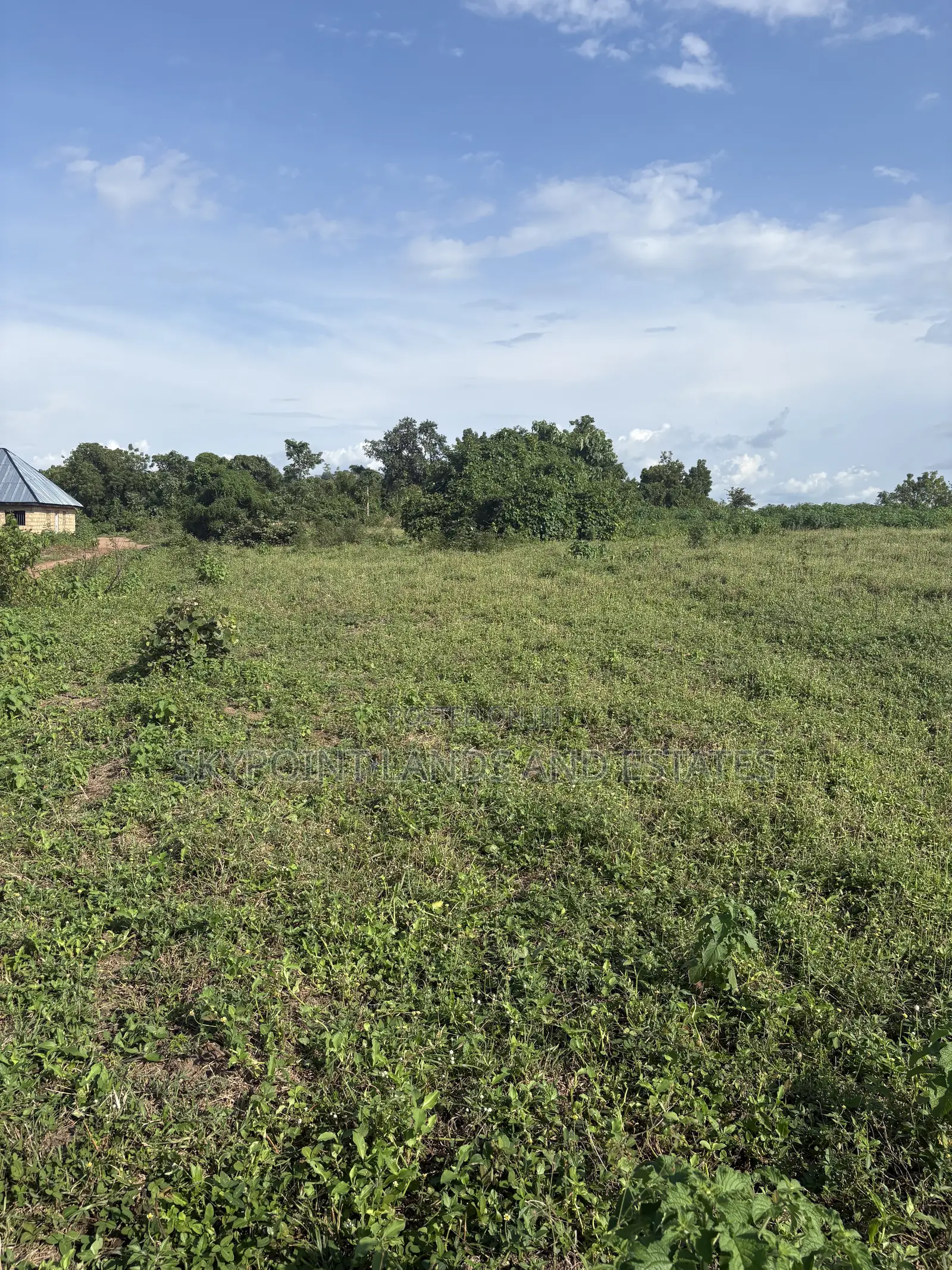 400 Acres Available at Ilaju, Ido Ibadan Oyo State