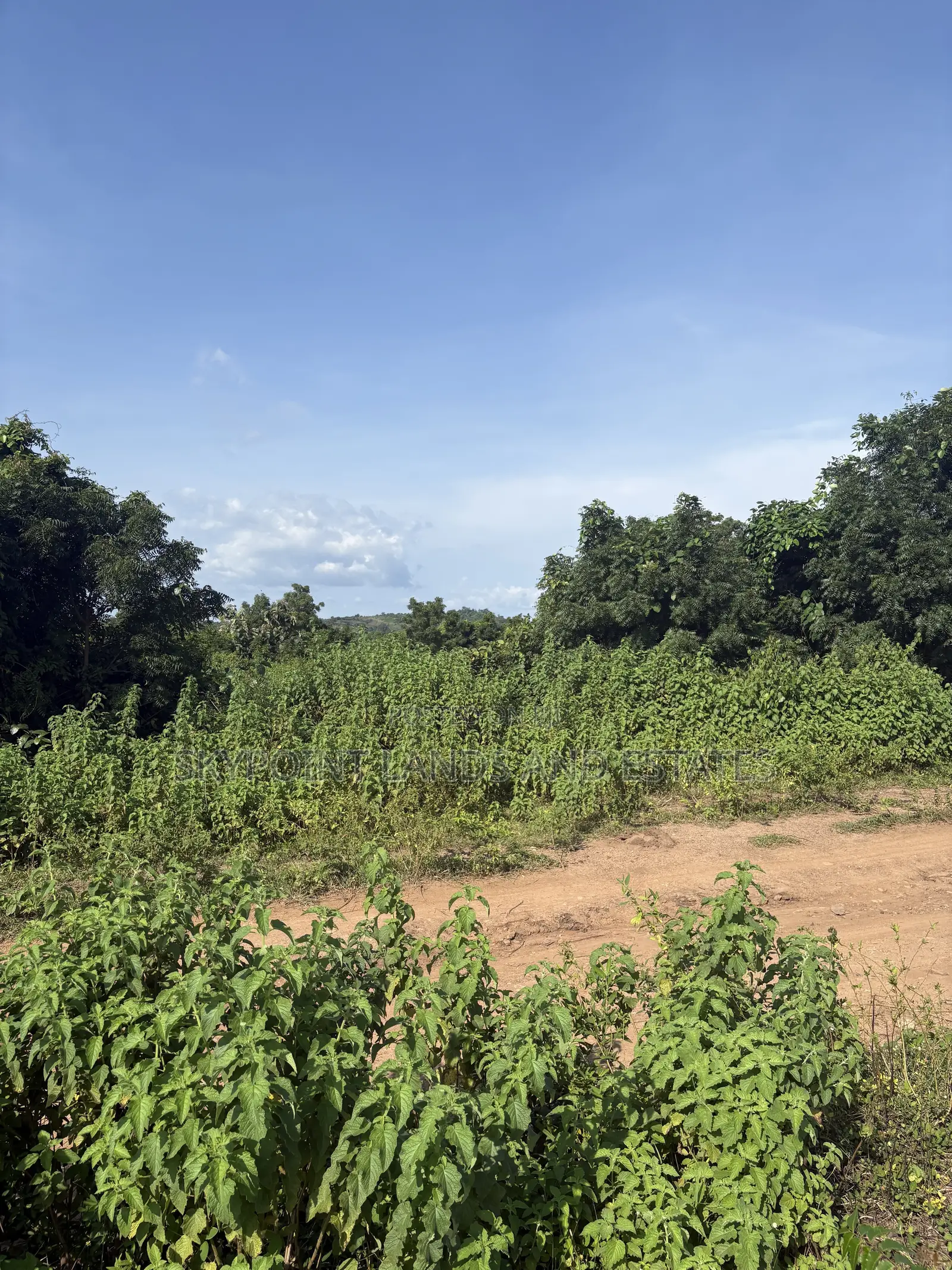 50 Acres of Land Available at Anigioro Village, Off Ido/Eruwa Road
