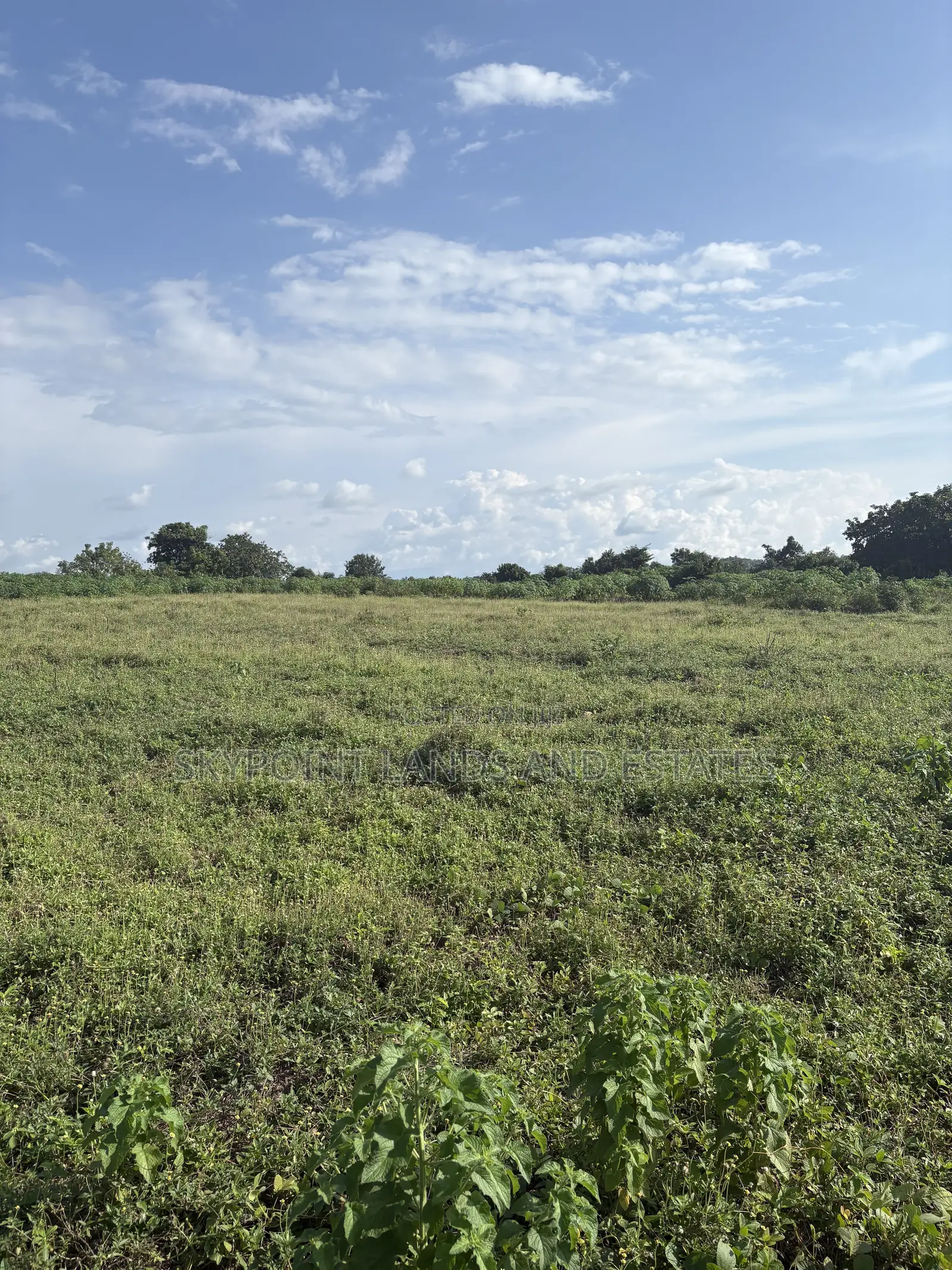 50 Acres of Land Available at Anigioro Village, Off Ido/Eruwa Road