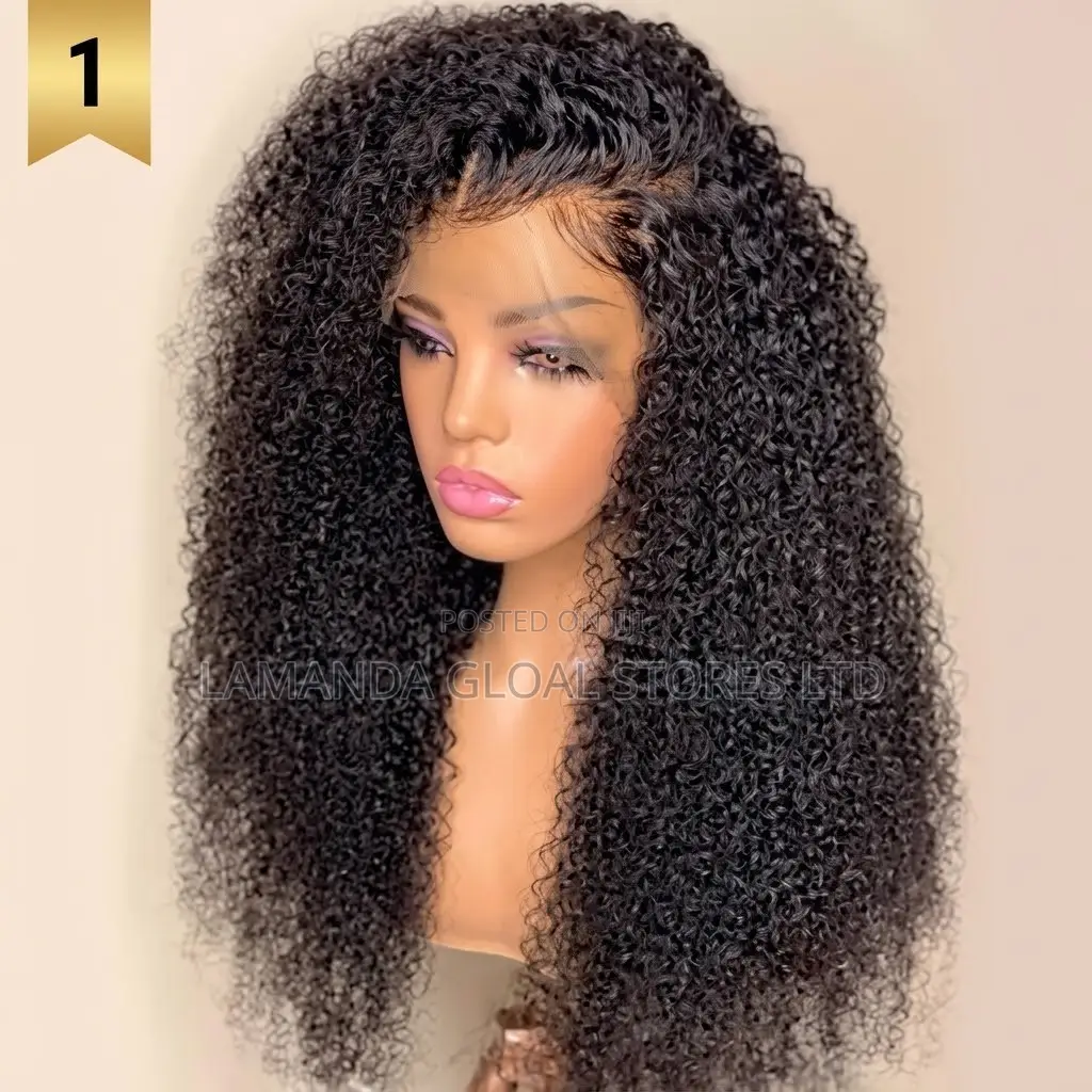 Long Kinky Curly Side Part HD Lace Front Human Hair Wig