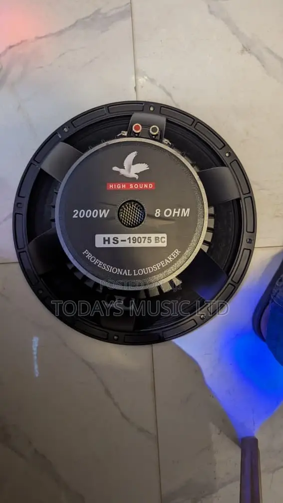 High Sound 15” Naked Speaker HS-19075