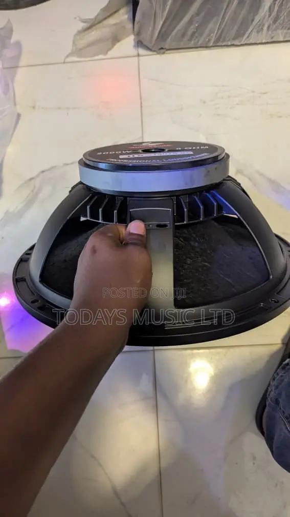 High Sound 15” Naked Speaker HS-19075