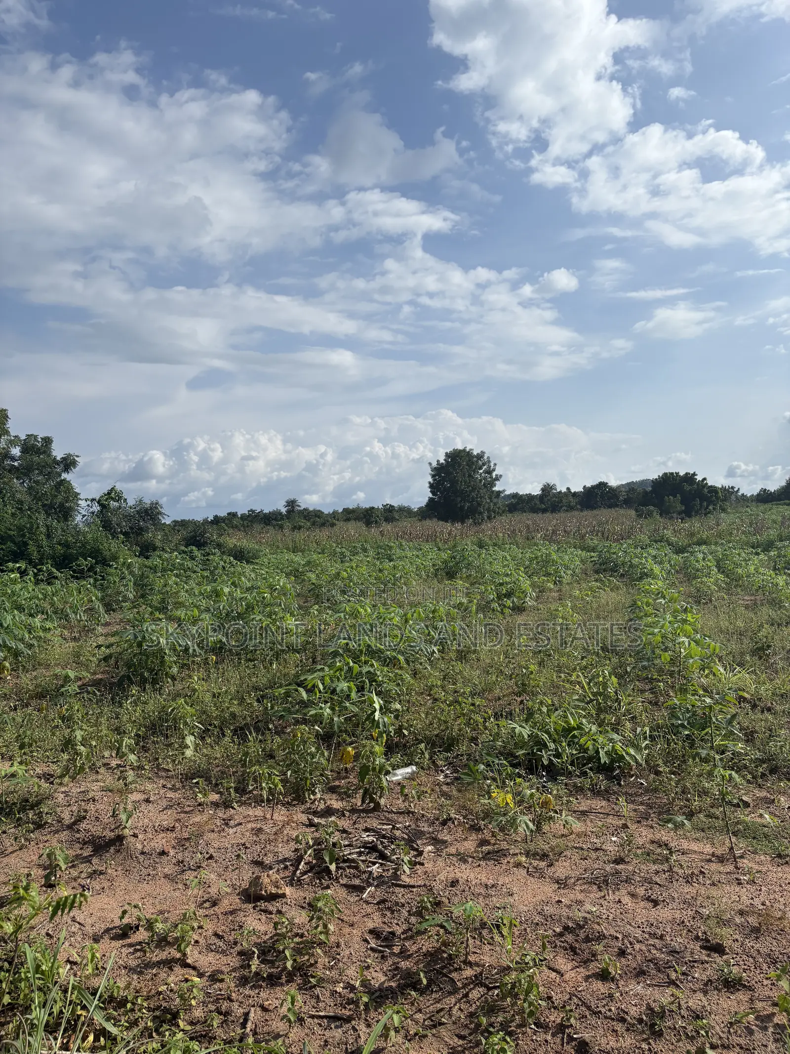5 Acres Available at Alako Area, Ido Local Government Area Oyo State