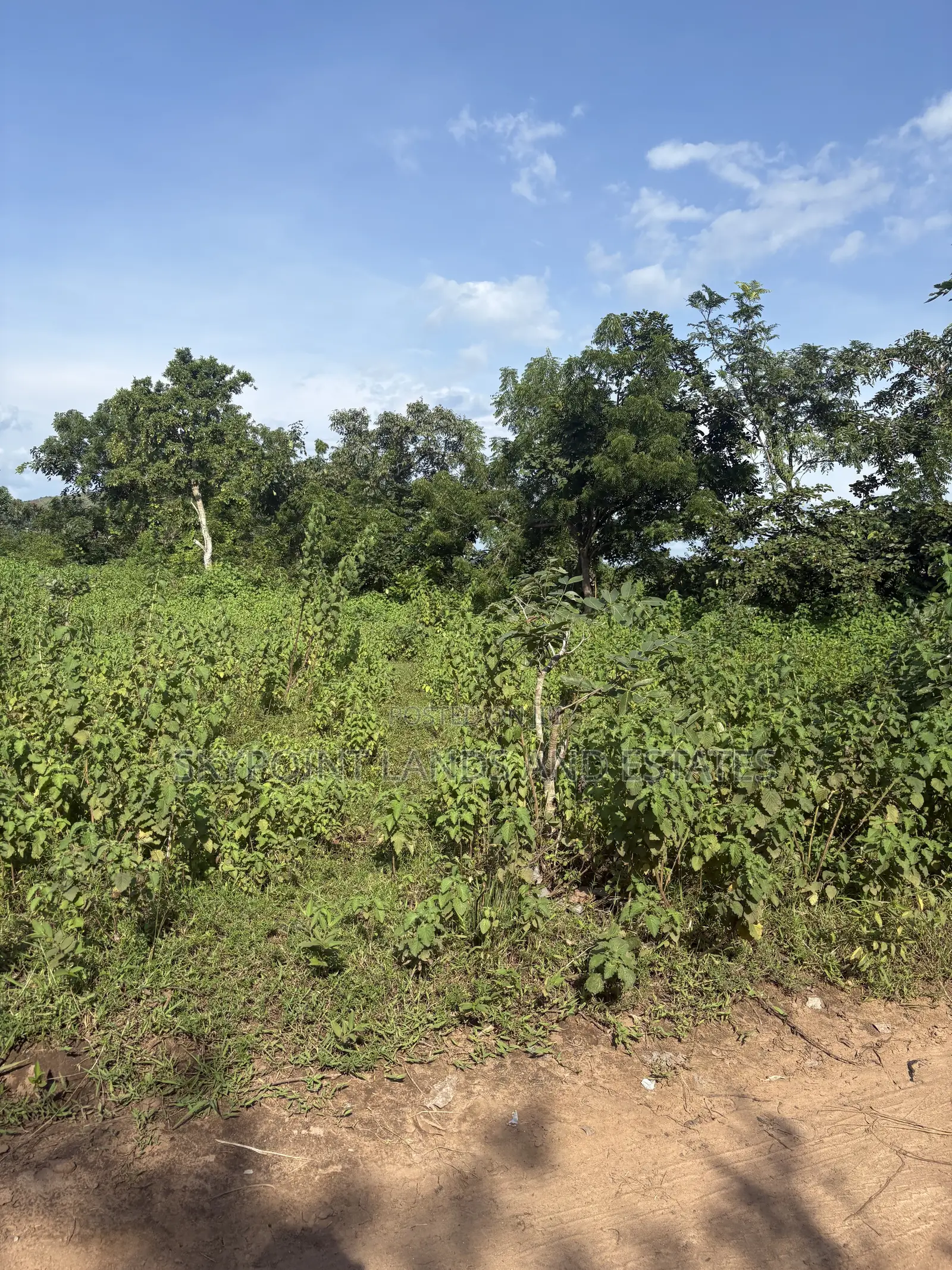 5 Acres Available at Alako Area, Ido Local Government Area Oyo State