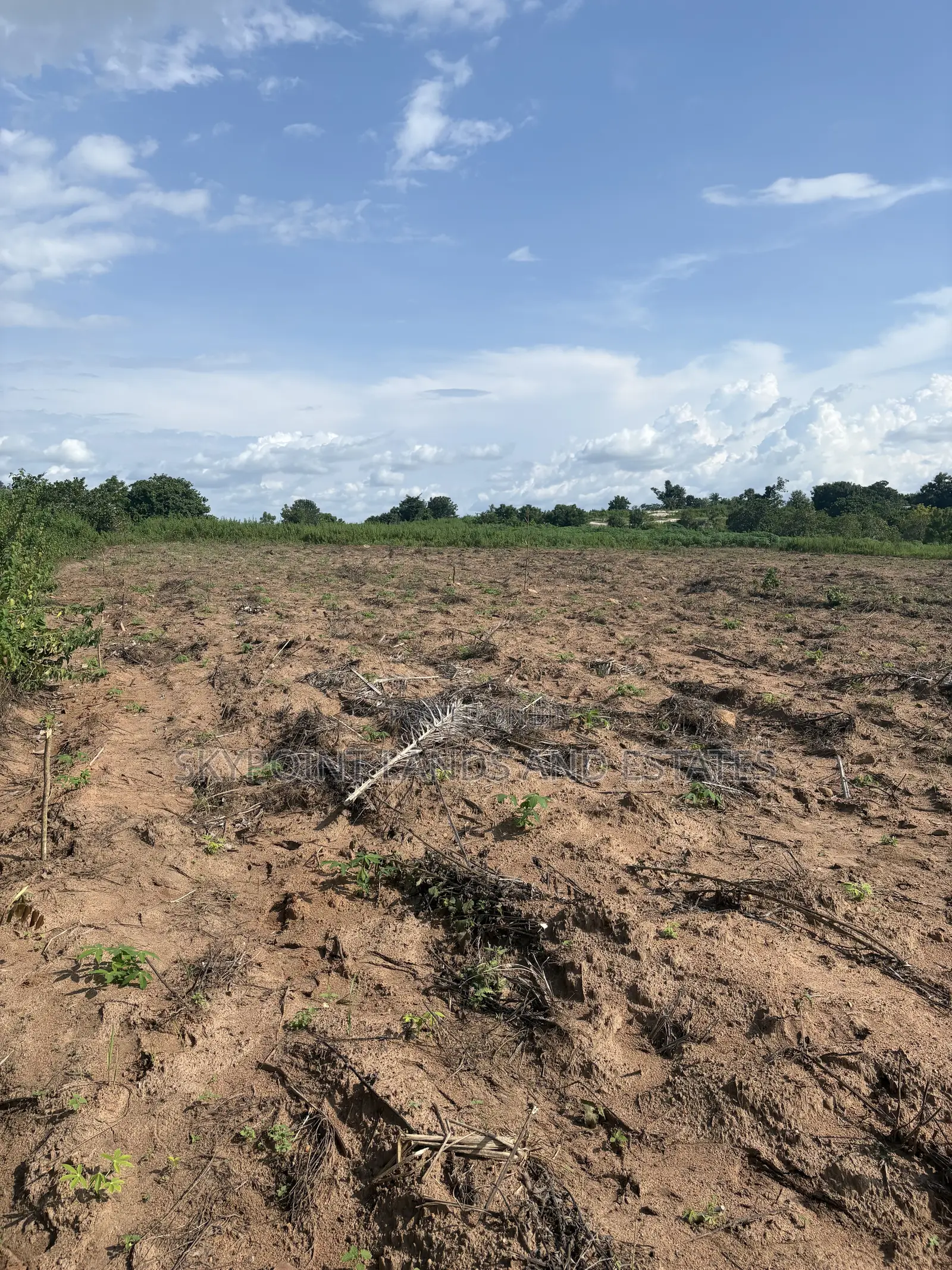 100 Acres Available at Idi Ori Area, Off Iseyin/Oyo Road Iseyin Oyo St