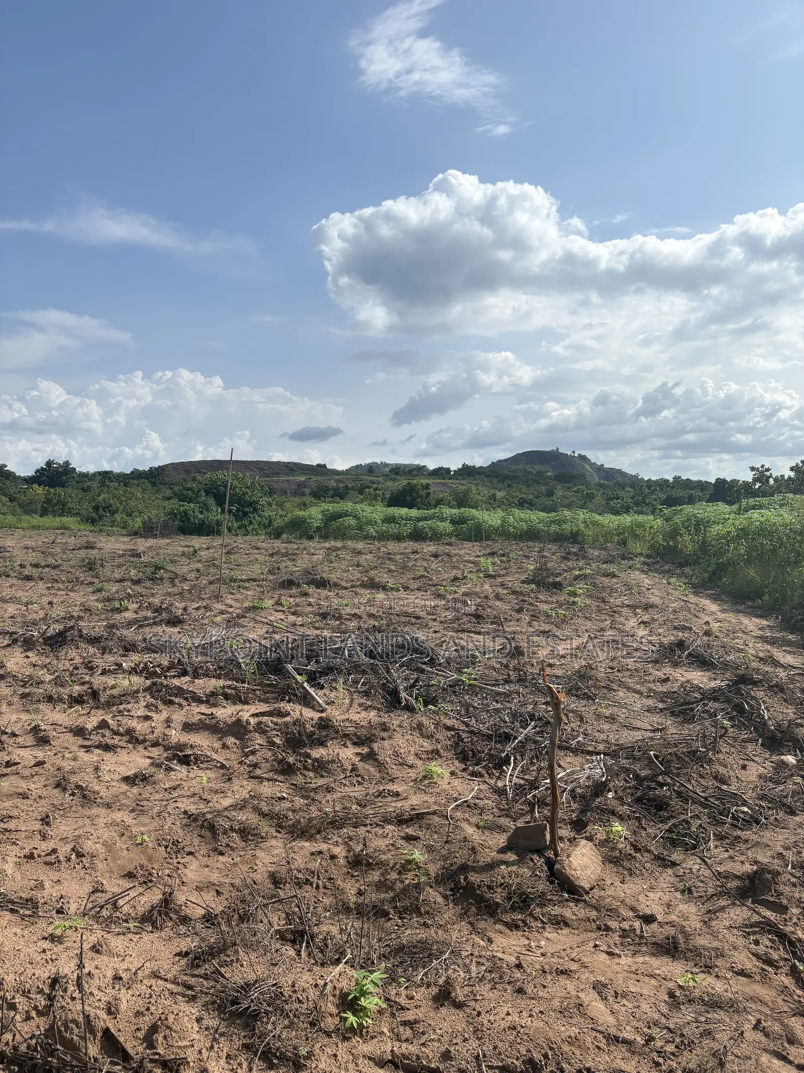 100 Acres Available at Idi Ori Area, Off Iseyin/Oyo Road Iseyin Oyo St