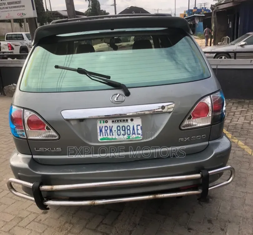 Lexus RX 2003 Gray