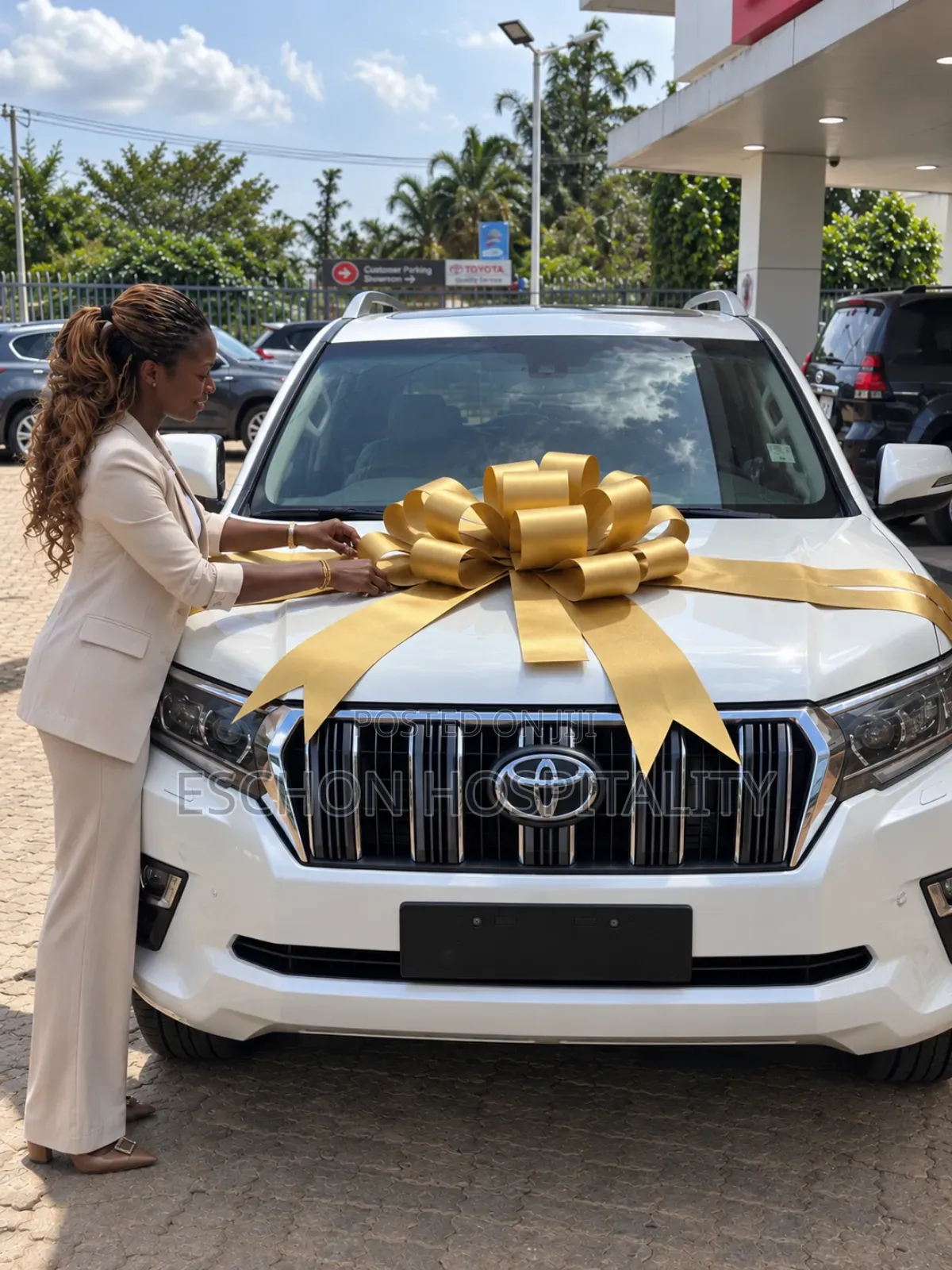Giant Surprise Car Gift Big Ribbon Decoration