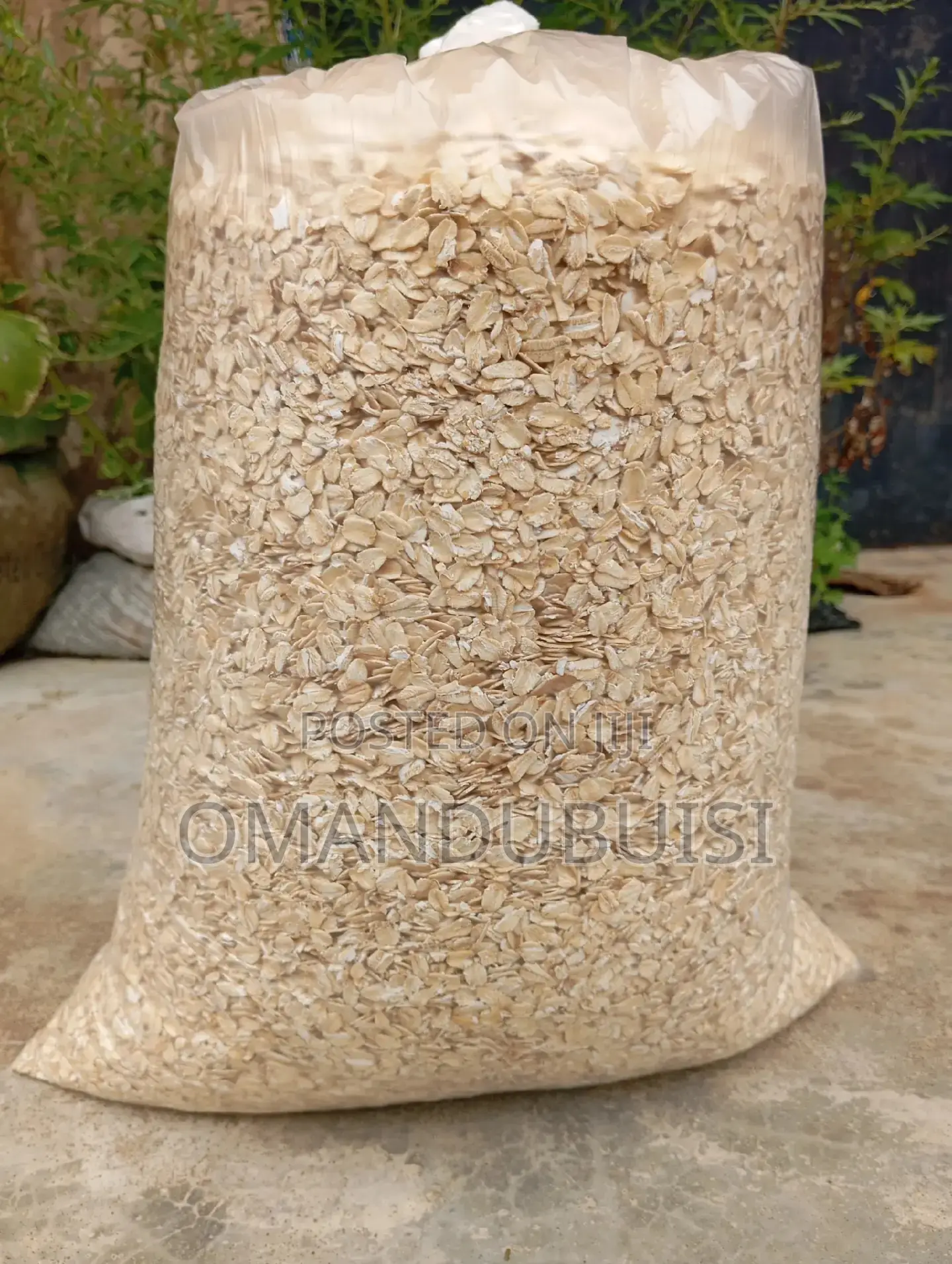 5 Kg Rolled Oat