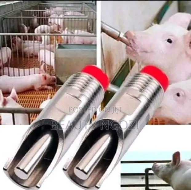 Pig Nipple Drinker