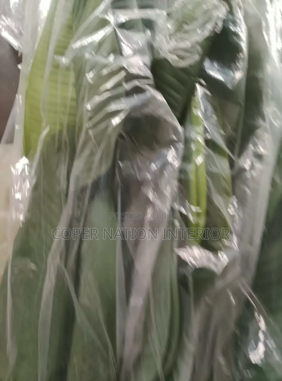 Artificial Plant Available in Bulk. Original Artificial Plant 100%